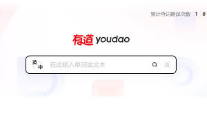 如何在有道翻译中开启“悬浮窗手势控制”?