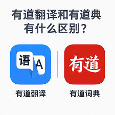 有道翻译词典的“离线词库”支持SD卡存储吗?
