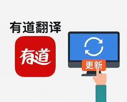 有道翻译支持翻译冰岛语的火山监测报告吗?
