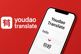 有道翻译支持翻译马耳他语的骑士团历史吗?